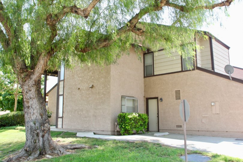 Laurelwood Building Side View with Tree at corona City in Califorina