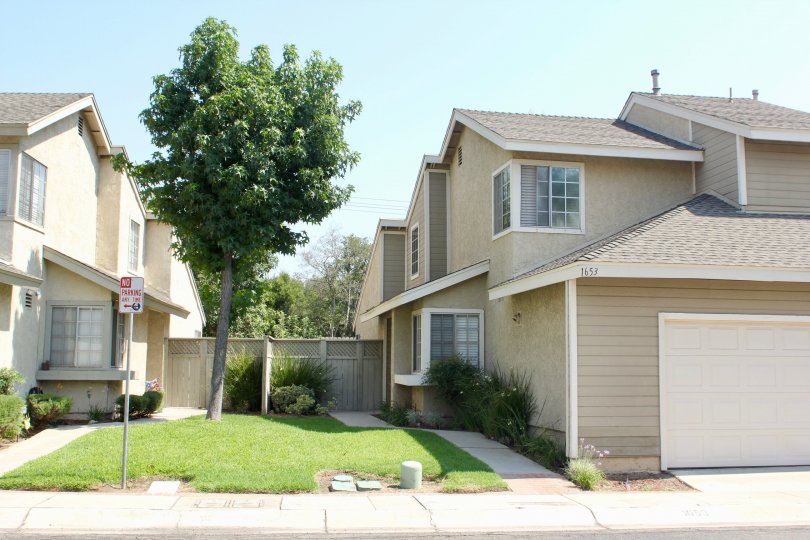 The two beautiful houses in Santiago with single tree