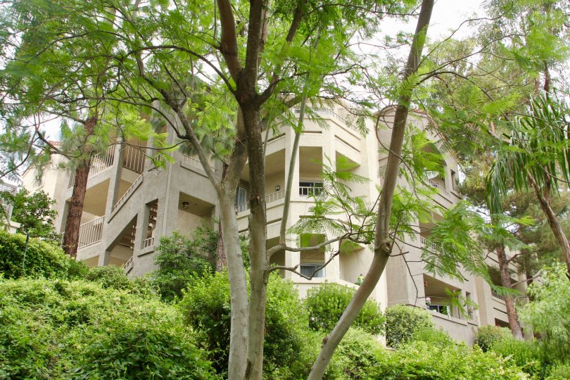 trees are fully covered the house and three floor of upstair contains in house