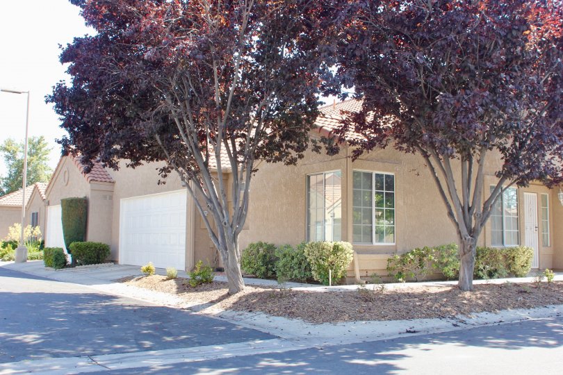 Red leaves fill the tops of trees in the yard at the Terra Linda Village.