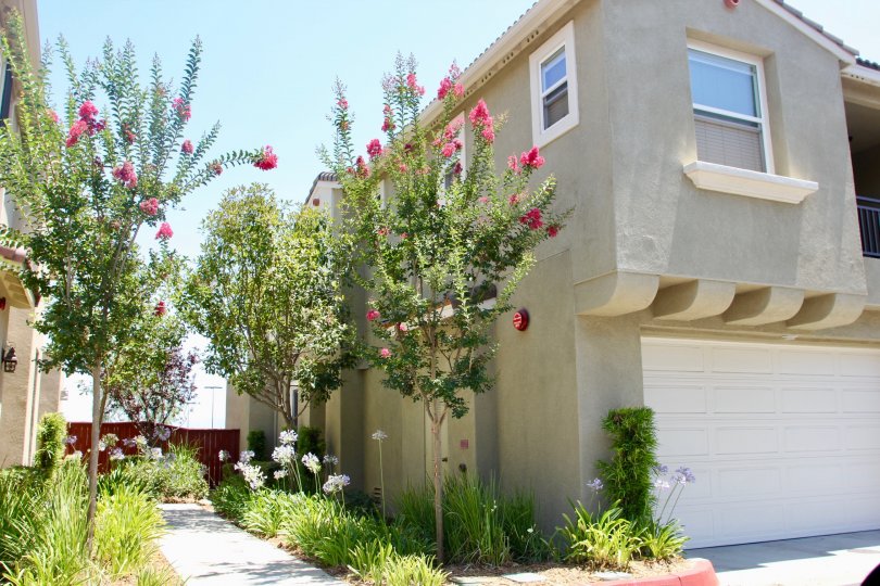 Amazing beautiful North Oaks Apartments, Murrieta, California