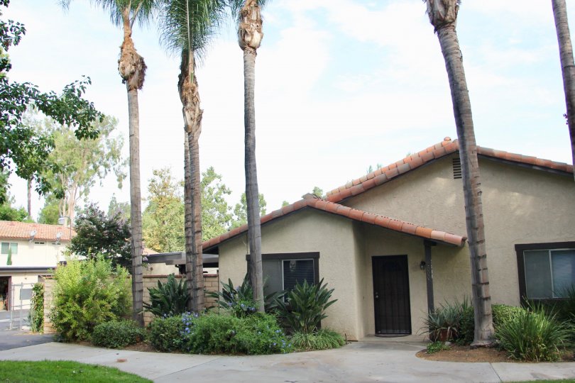 A medium house for your small family with greenaries in Victoria village riverside california