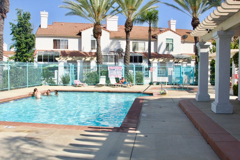 palm tree lined pool area at Rancho Del Mar in Temecula, CA where people swim and sun