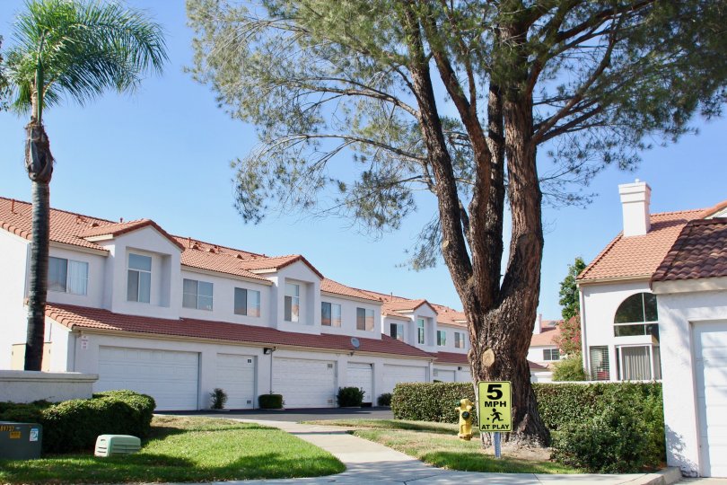 Trees and alleyway accessible garages at Rancho Del Mar