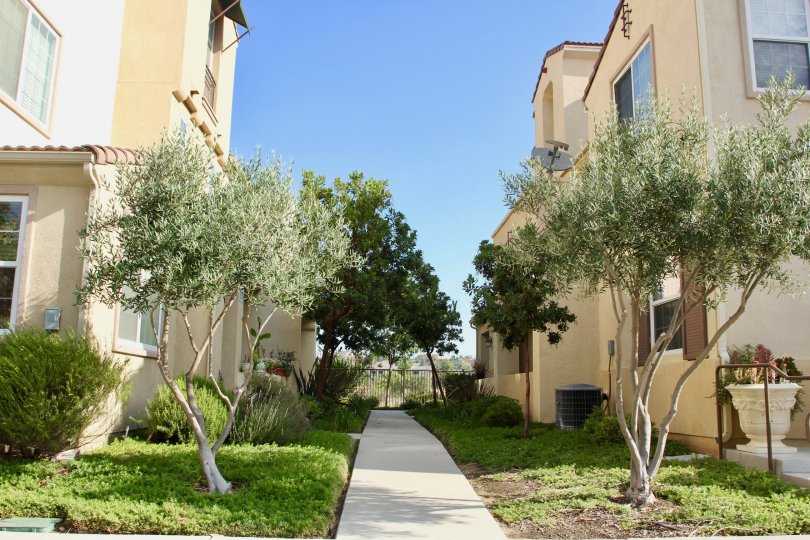 there are two buildings located and it is fully covered with treed and grasses and there is road in between two houses