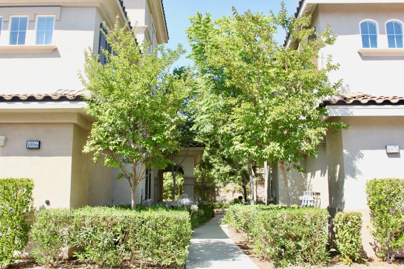 Garden pathway between two buildings lined with shrubs and trees
