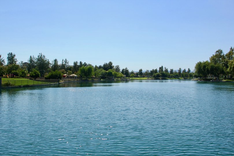 Savannah at Harveston temecula California nice waterspace surrounded by grassy green plants looks heavenly