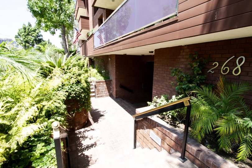 The sidewalk around 268 S Lasky in Beverly Hills