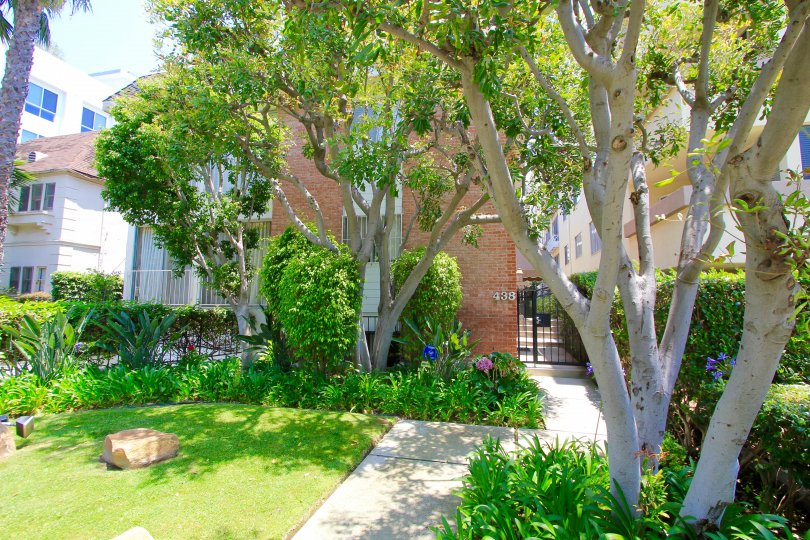The landscaping at 438 N Palm