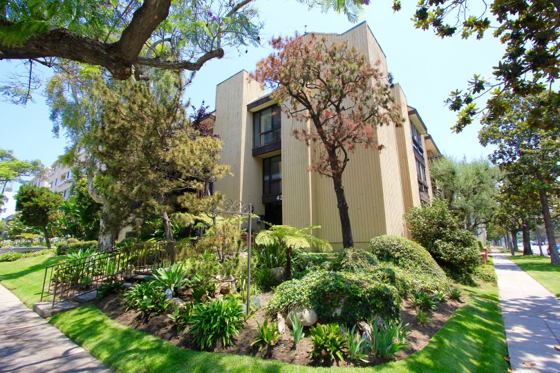 The landscaping around the Beverly Palm in Beverly Hills