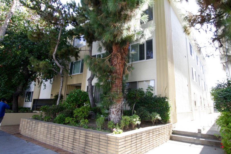 The landscaping around the Clifton Terrace in Beverly Hills