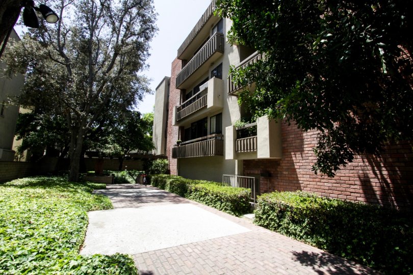 The pavement leading up to Linden Drive