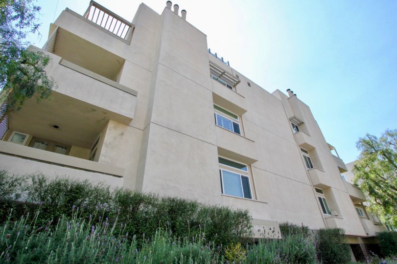 A home fit for those who enjoy natural sunlight in their homes, and a variety of greenery to stroll around.