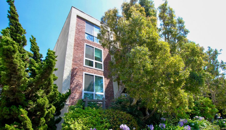 THE BIG BUILDING IN BACK OF THE TREES IN CALIFORNIA