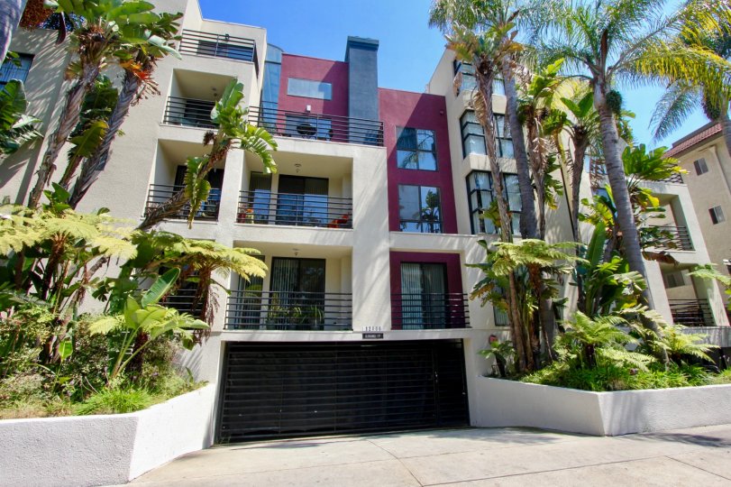 A sunny day at the front part of the 12000 Goshen's community in Santa Monica, CA