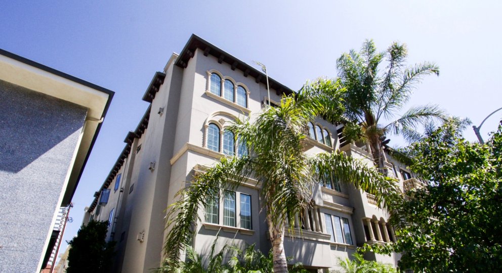 The front of Casa Bella Villas is well landscaped with tall palm trees