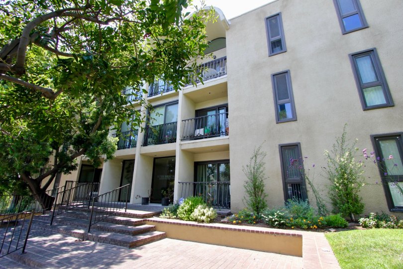 Front walkway, landscaping, and trees of the Brentwood Townhomes in Brentwood, California