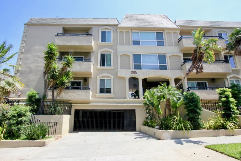 Palm trees on a beautiful day at Chenault Villas in Brentwood, California