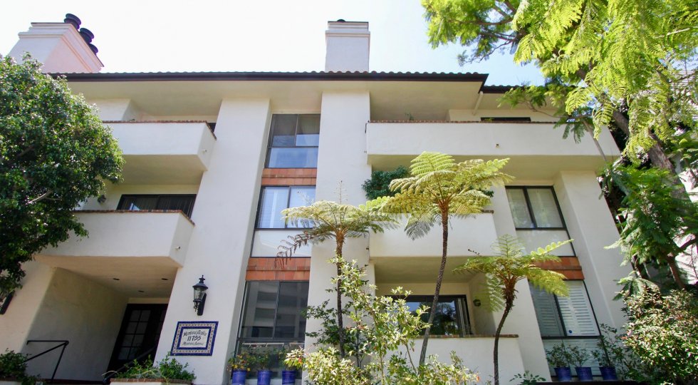 A sunny day in the Montana Pacifica with an apartment and glass window.