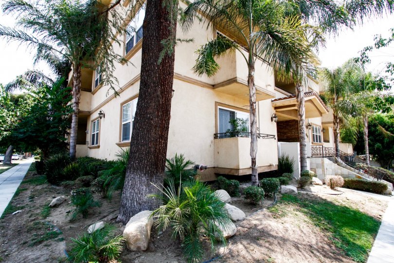 The landscaping at 650 E Palm Ave