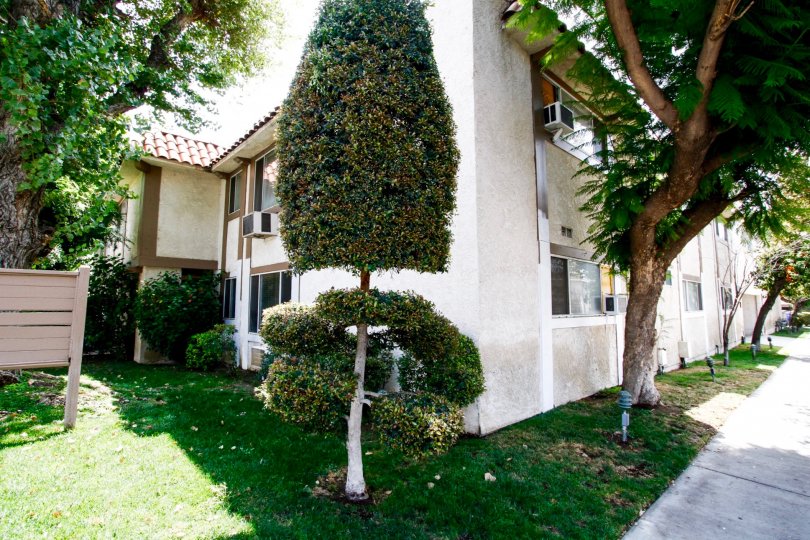 The landscaping at 20954 Parthenia St