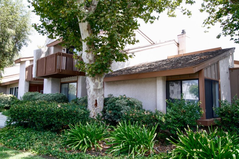 The landscaping around the Woodlands De Soto in Canoga Park California