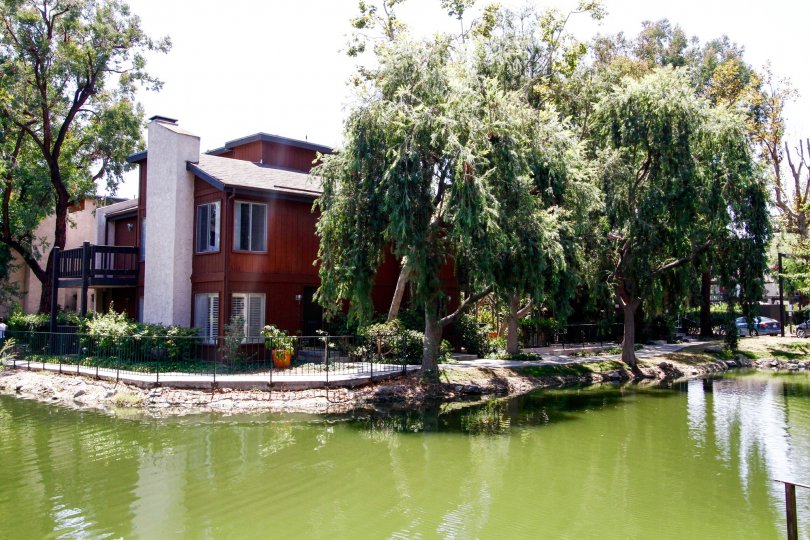 The trees at the lake in Lakeside Village
