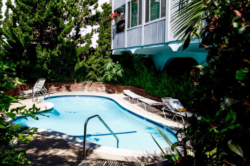 The pool at The Buckingham