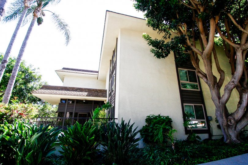 The building at The Winbury