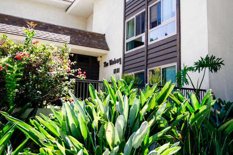The greenery at The Winbury in Culver City