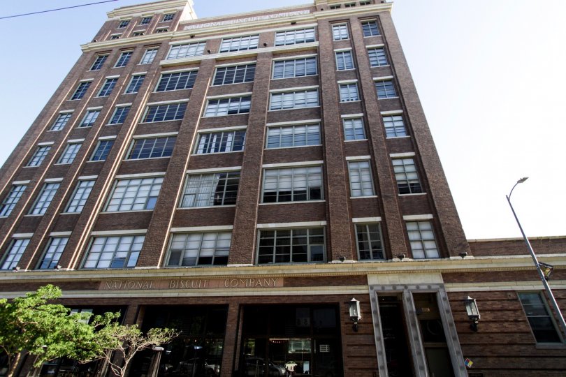The view of the Biscuit Company Lofts in Downtown LA
