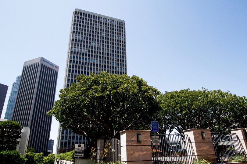 The landscaping around Bunker Hill Tower