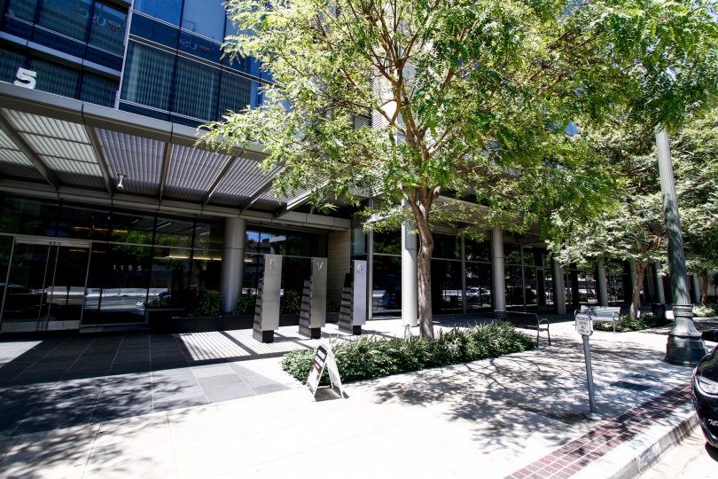 The entryway into Evo