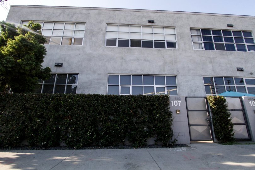 The hedges around Molino Street Lofts