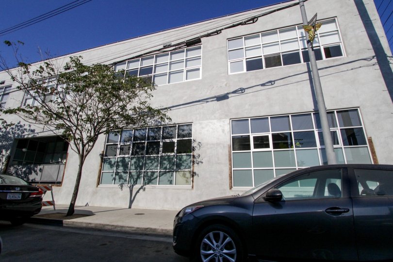 The windows seen at Molino Street Lofts