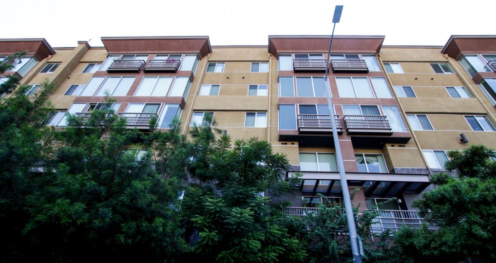 The Mura building