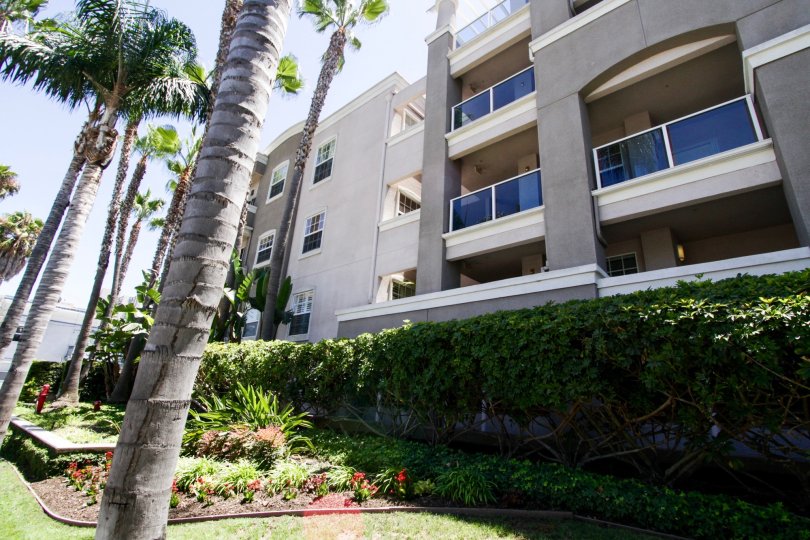Walkway to the front entry of 1500 Ocean with planters on both sides