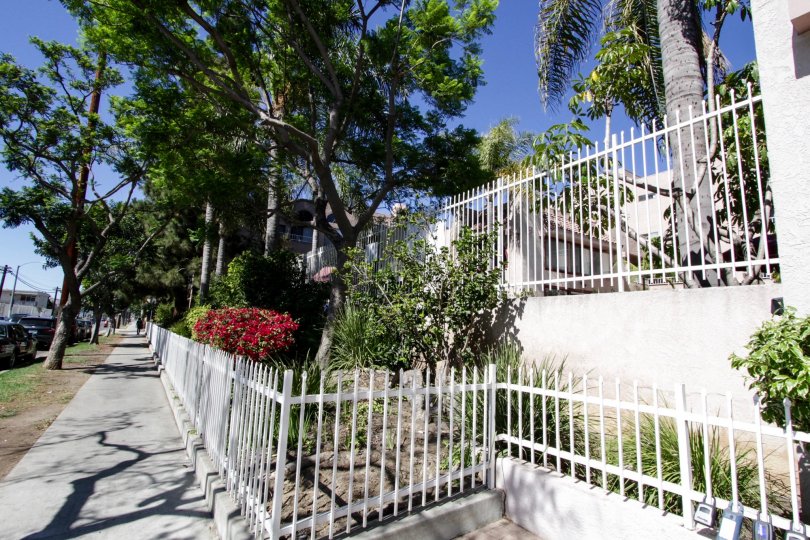 Multilevel planters separate the Genesis complex from the street