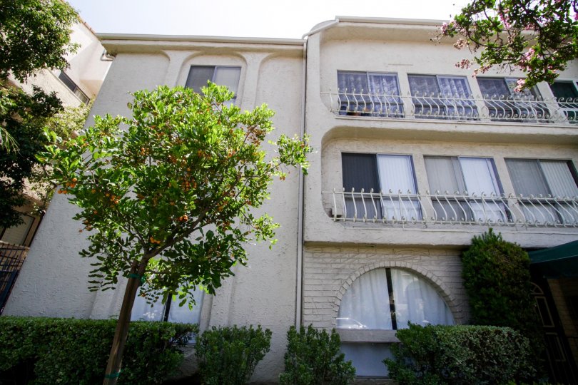 The numerous windows to allow for views of Encino at 5250 Zelzah Ave