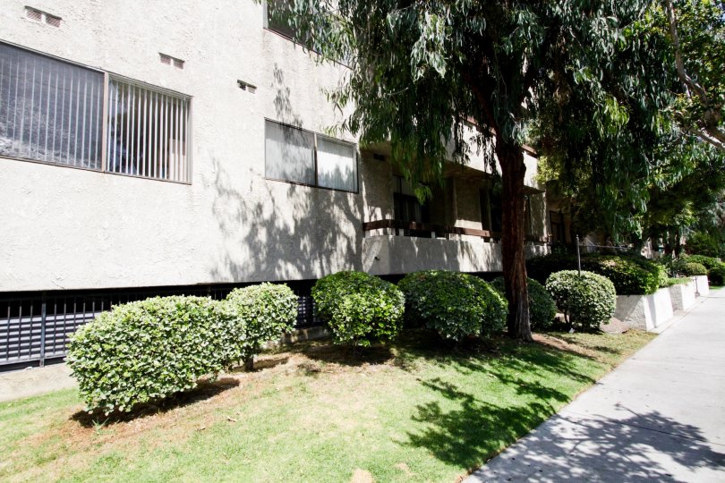 The landscaping around the Encino Horizons building