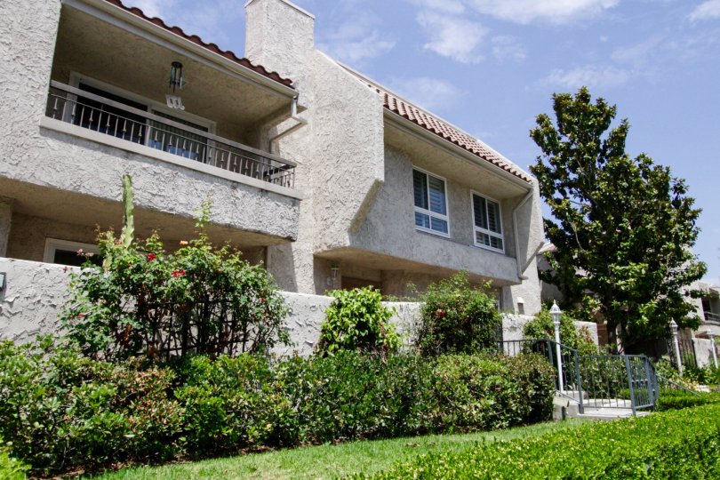 The shrubs surrounding the privacy fence along Encino Plaza North