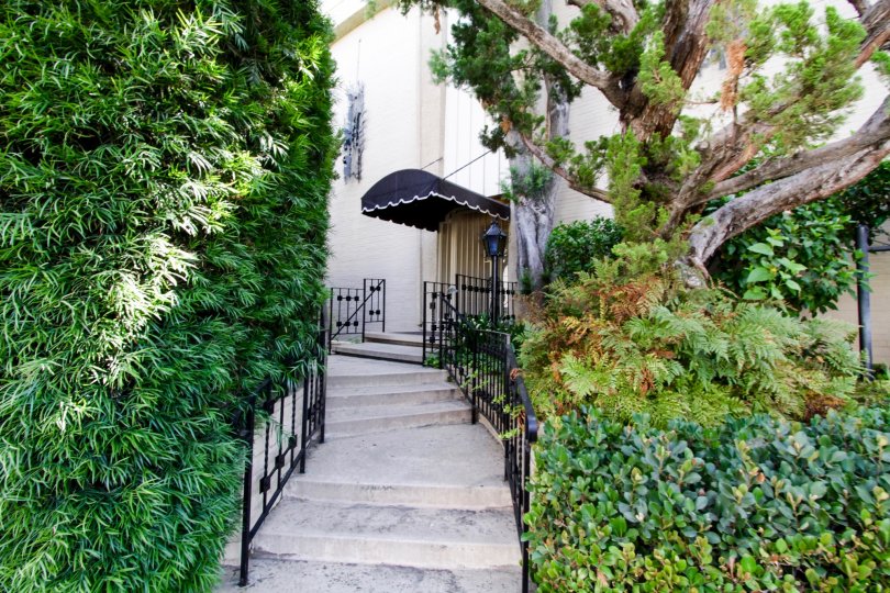 Stairs leading to an entrance in the Encino Spa in Encino