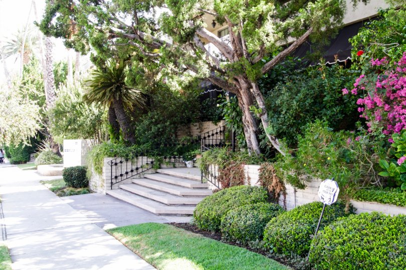 The greenery found throughout the Encino Spa property