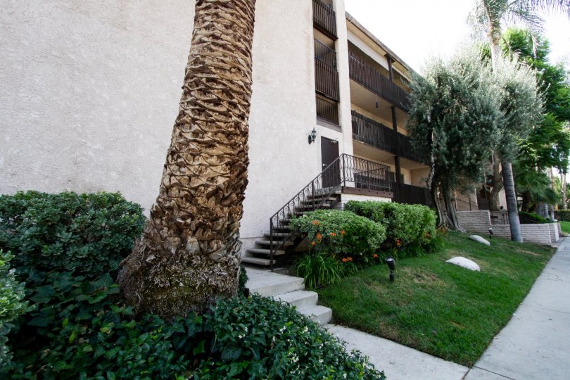 The trees and various landscaping of Encino Villas