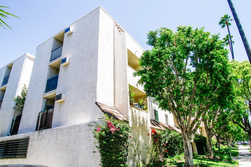 The Burchett Gardens building in Glendale California