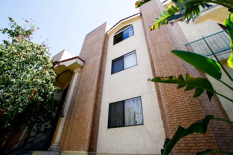 The windows in the Dryden Villas