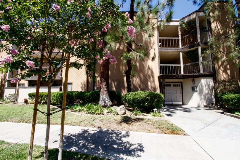 The parking for Holly View in Glendale California