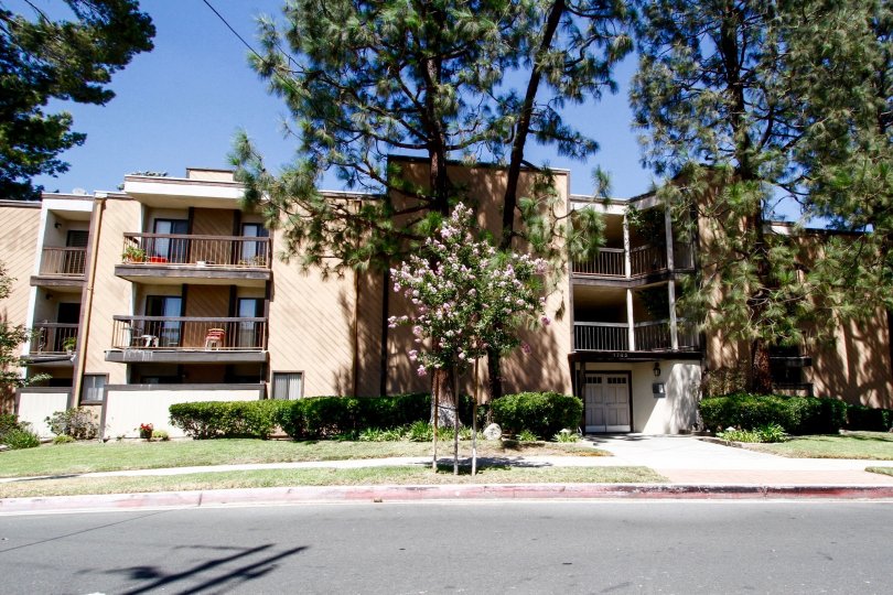 The sidewalk in front of Holly View
