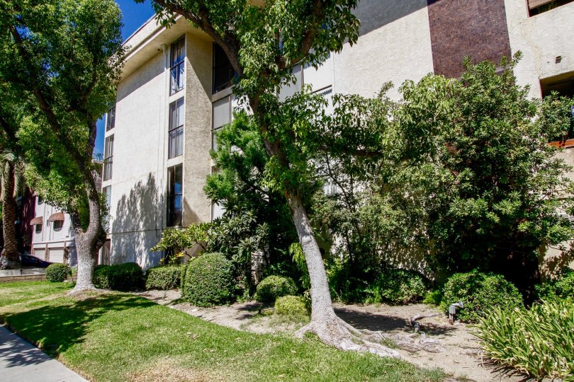 The landscaping at the Oak Louise in Glendale California