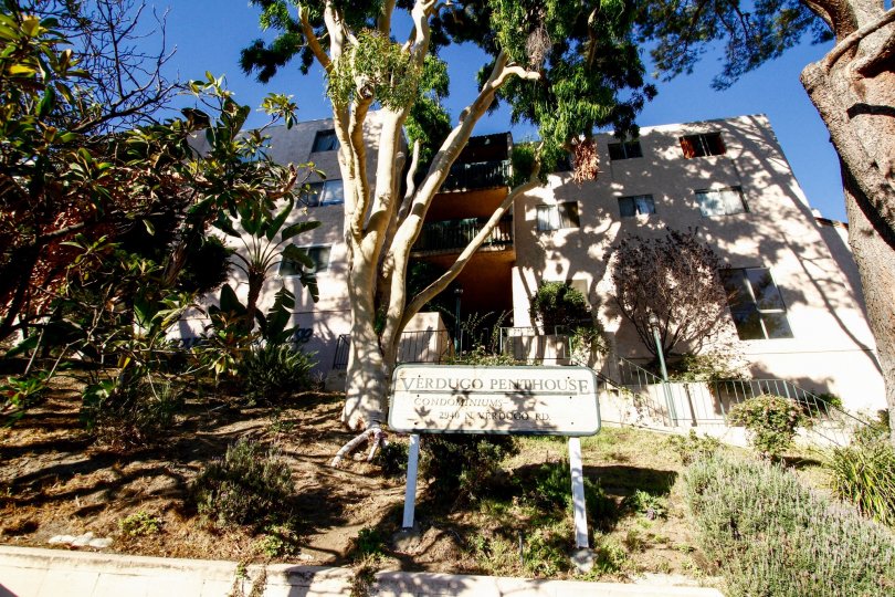 The landscaping at the Verdugo Penthouse